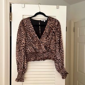 Walter Baker Rochelle Velvet V Neck Top